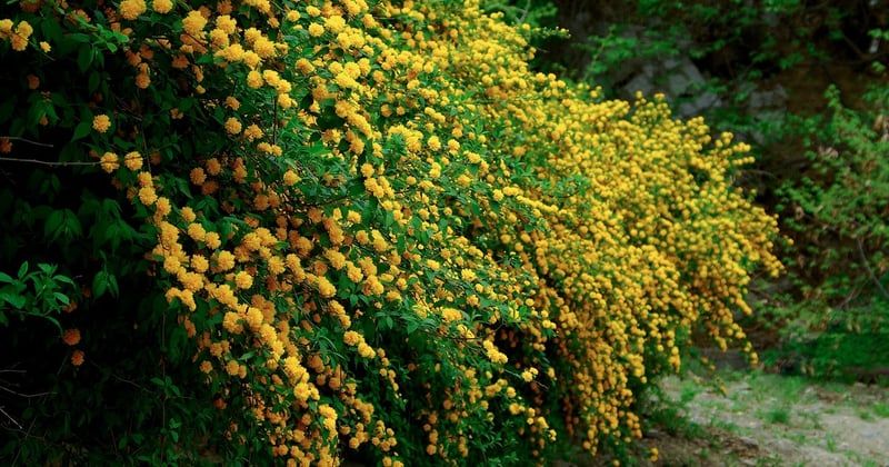 Die ultimative Farbberatung: Die besten Modefarben für jede Saison